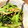 ☆ねこじゃらし☆'s cooksnap of when they made 小松菜と油揚の煮びたし.