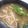 とっぽぎがおちゃん's cooksnap of when they made ナスとそうめんの味噌汁.
