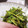 etsukoooo's cooksnap of when they made ☆クレソンと海苔の佃煮の和え物.