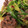 datura5150's cooksnap of when they made ネギたっぷり砂肝炒め！.