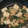 クックOS6YTL☆'s cooksnap of when they made 簡単！ホタテ風エリンギと豆腐の塩あん炒め.
