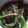 クック2H9MD0☆'s cooksnap of when they made ほうれん草のごま和え.