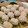 糸へんママ's cooksnap of when they made 蒸籠☆もち米焼売.