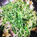 ♬あじさいのレシピ♬'s cooksnap of when they made いりこだしでさっと！豆苗と卵の炒め物.