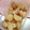 ふう太＆しゃあ's cooksnap of when they made ＊簡単＊鶏もも肉と大根の塩煮＊.