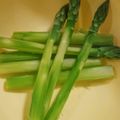 みき☆ハチ's cooksnap of when they made アスパラの美味しい茹で方♡色鮮やか・簡単.