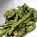 kyootan's cooksnap of when they made 簡単おいしい！こごみの胡麻和え.
