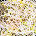 T△U's cooksnap of when they made 簡単！美味☆もやしと卵のバター炒め♪.