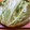 horseland's cooksnap of when they made キャベツの下ごしらえ（保存）.