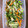 こるだ's cooksnap of when they made 炒めて5分！白菜とちくわのきんぴら.