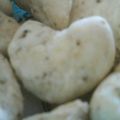 がちょー隊's cooksnap of when they made 南部煎餅風ごまビスケット.