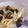 アクセル☆'s cooksnap of when they made 牡蠣缶 スモーク オイル漬けのパスタ.