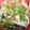 ブランシュkuu's cooksnap of when they made えのきポン酢.
