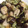 クック2H9MD0☆'s cooksnap of when they made さっぱり！鶏肉と茄子の揚げ浸し.