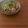 Etsu☆ko's cooksnap of when they made 豚肉とパクチーの生姜焼き.