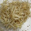 姫ママ★'s cooksnap of when they made レンジで簡単☆やみつきもやしのナムル.