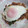 maaaruuu♡'s cooksnap of when they made 【簡単 男の手料理】なんちゃってガパオ.
