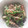 DORA＊DORA's cooksnap of when they made ピーマンと塩昆布の旨味炒め☆.