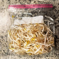 やおよろず◎'s cooksnap of when they made もやしの保存（冷凍）.