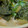 あゆたっくん's cooksnap of when they made たたき長芋のわさびじょうゆ和え.