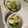 料理初心者imsk's cooksnap of when they made 簡単シャッキとしたチンゲン菜のゴマ和え.