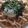 クック2H9MD0☆'s cooksnap of when they made たらこうどん　温卵のせ.