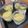 クック92Z8KE☆'s cooksnap of when they made コツ満載✿基本のカスタードプリン✿.