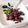 ぱふ♪'s cooksnap of when they made 小豆よーぐると♪.