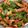 あーこ姐's cooksnap of when they made とんかつ用豚ロースの青椒肉絲.