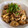miumini's cooksnap of when they made シソが決め手！れんこんと豚肉の旨味噌炒め.