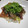 okamelove's cooksnap of when they made 簡単！鰹のたたきで手ごね寿司.