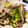 マルスまま's cooksnap of when they made 材料３つ！セセリとニンニクの芽の炒めもの.