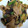 名月。's cooksnap of when they made ✿なすとぴーまんの味噌炒め✿.
