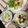 ぐりtoぐら's cooksnap of when they made 豆腐の照り焼き.