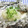 ととろ＆めい's cooksnap of when they made 簡単☆鯛のホイル蒸し　～みぞれあんかけ♪.
