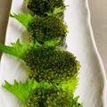 ♡マッキークッキング's cooksnap of when they made 沖縄の絶品グルメ・海ぶどう軍艦巻き.