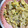 クックH86AFM☆'s cooksnap of when they made タケノコとニラの卵炒め.