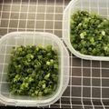 ☆hikonyan☆'s cooksnap of when they made 小ねぎの保存(いきなり冷凍庫で♡).
