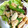マキマキ913's cooksnap of when they made 細切り鶏むね肉とピーマンの中華炒め.