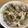 ＊＊えりちゃん＊＊'s cooksnap of when they made リピ決定！大満足のお助けランチねぎ塩豚丼.