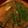 ヨシヨッシー's cooksnap of when they made 豆腐とひき肉の旨辛味噌スープ.