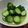 ijumama's cooksnap of when they made 焼肉屋さんの塩ダレさっぱりきゅうり☆.
