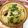 ✨きらりん✨'s cooksnap of when they made 節約！春野菜セリたっぷりチダイの土鍋ご飯.