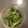 ☆ぉりん☆'s cooksnap of when they made 水菜のシャキシャキ漬物.