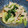 低カロ探検隊's cooksnap of when they made レンジで簡単！エリンギと青梗菜の中華炒め.