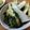 低カロ探検隊's cooksnap of when they made 京都のおばんざい＊旬の筍と若芽の炊いたん.