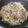 楽しく料理♪'s cooksnap of when they made 豚ミンチもやしのフライパン焼き♪.