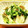 かなりんココりん's cooksnap of when they made 水菜と舞茸のおひたし.