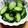 みなあゆママ's cooksnap of when they made きゅうり胡麻油あえ 簡単ﾚｼﾋﾟ.
