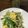 かかかめ's cooksnap of when they made スタミナ満点☆ニラ玉もやし炒め.